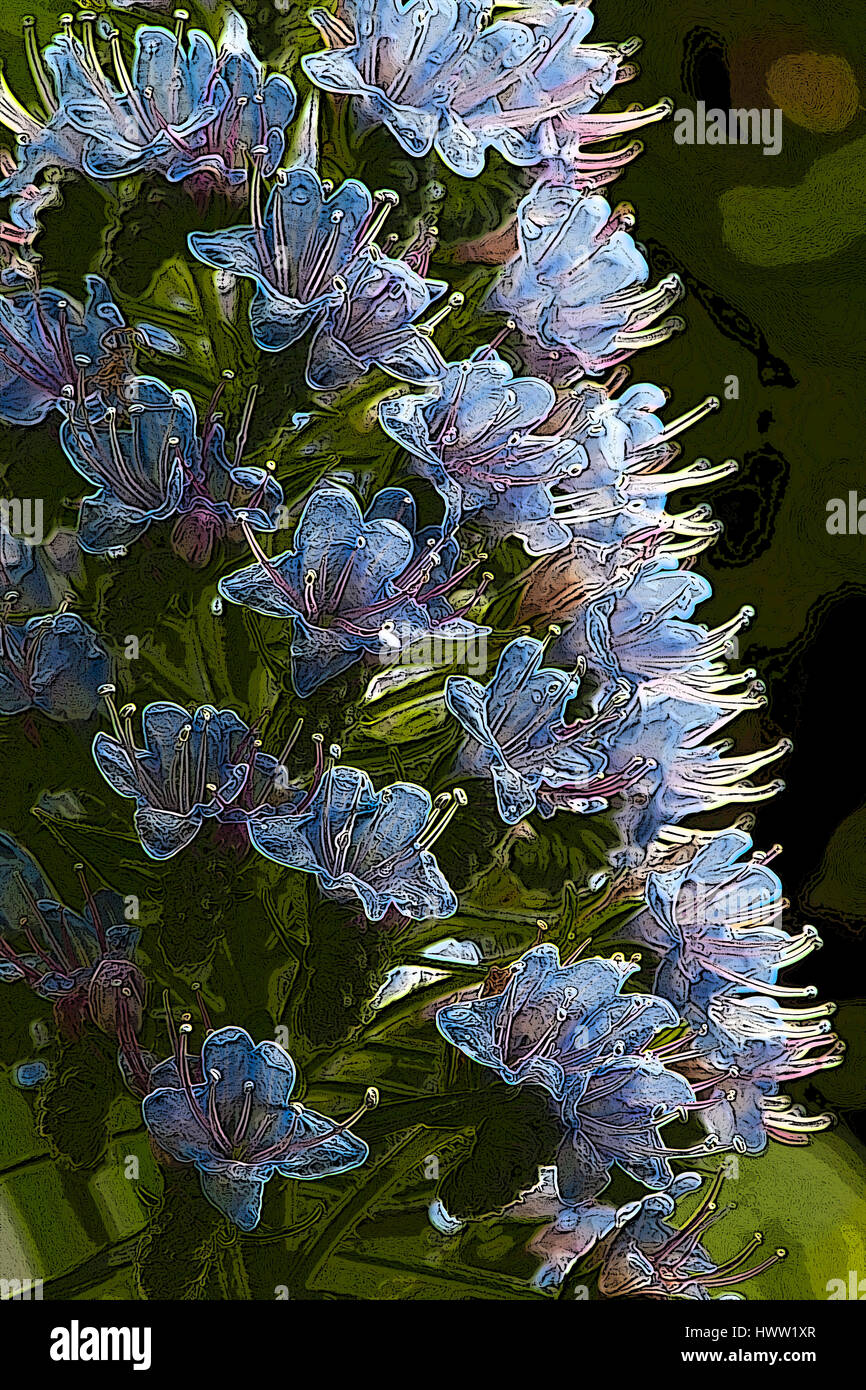 Photoshop enhanced close up dettaglio del retro illuminazione blu sulla pianta flowering Foto Stock