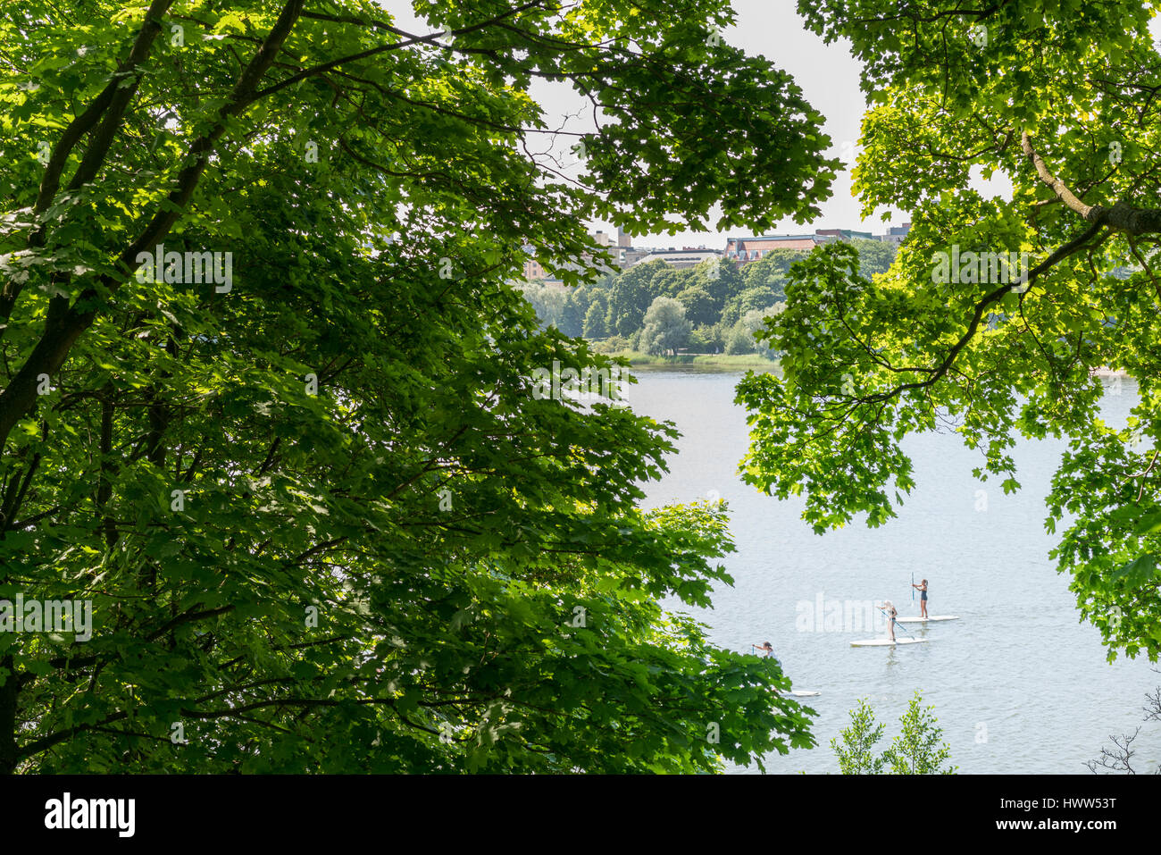 Persone SU STAND UP PADDEL SCHEDE SU UN LAGO DI HELSINKI circondato da alberi Foto Stock