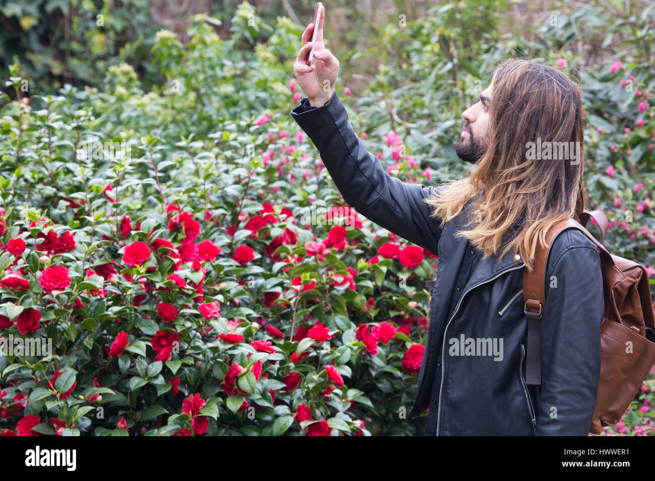 Greenwich, Londra, Regno Unito. 23 marzo, 2017. Un turista gode i fiori di primavera nel parco di Greenwich, Londra. Rob Powell/Alamy Live News Foto Stock