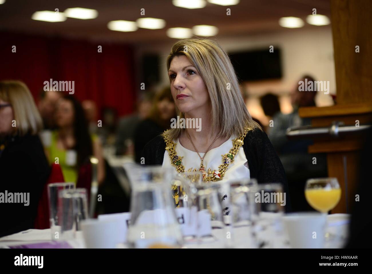 Sindaco di Rotherham 2016/17 assessore Lyndsay Pitchley. Foto Stock