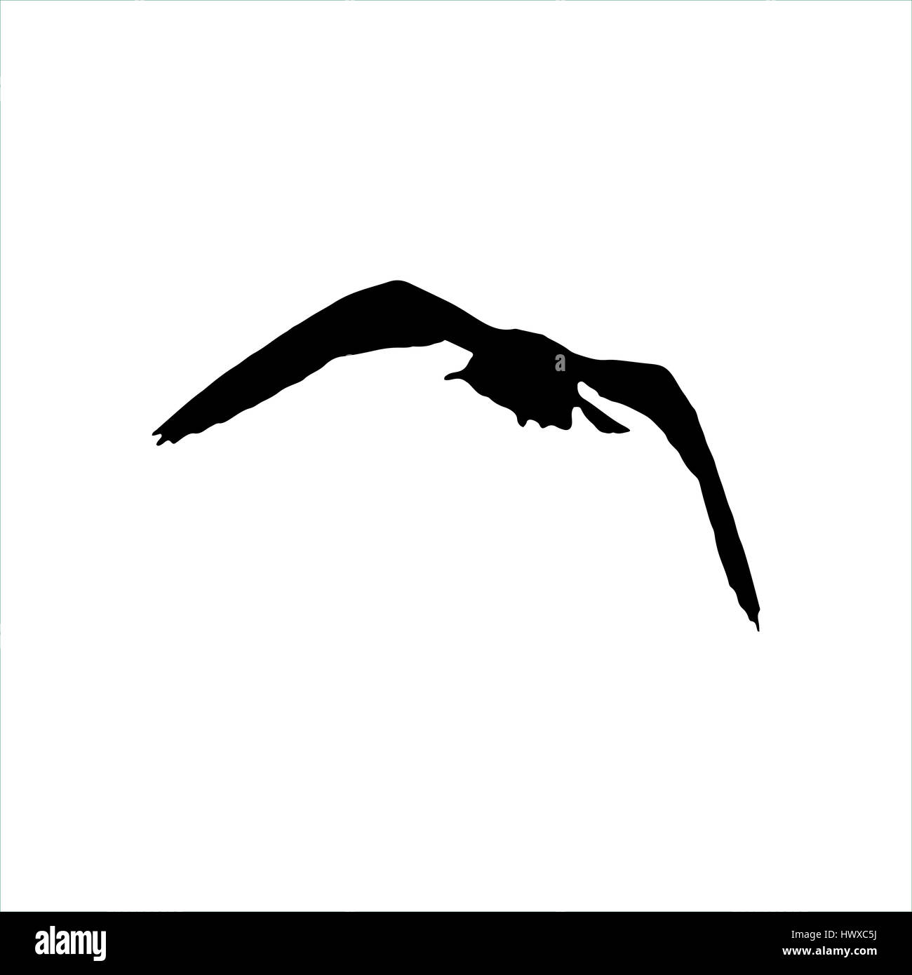 Flying Seagull uccello silhouette nera isolati su sfondo bianco. Foto Stock