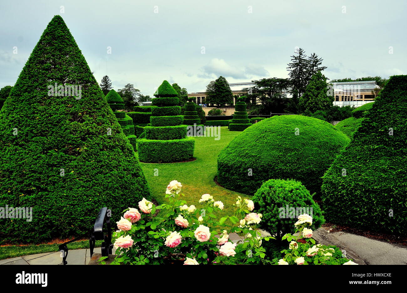 Kennett Square, Pennsylvania - Giugno 3, 2015: agganciato taxus (yew) alberi in Topiaria da giardino a Longwood Gardens * Foto Stock