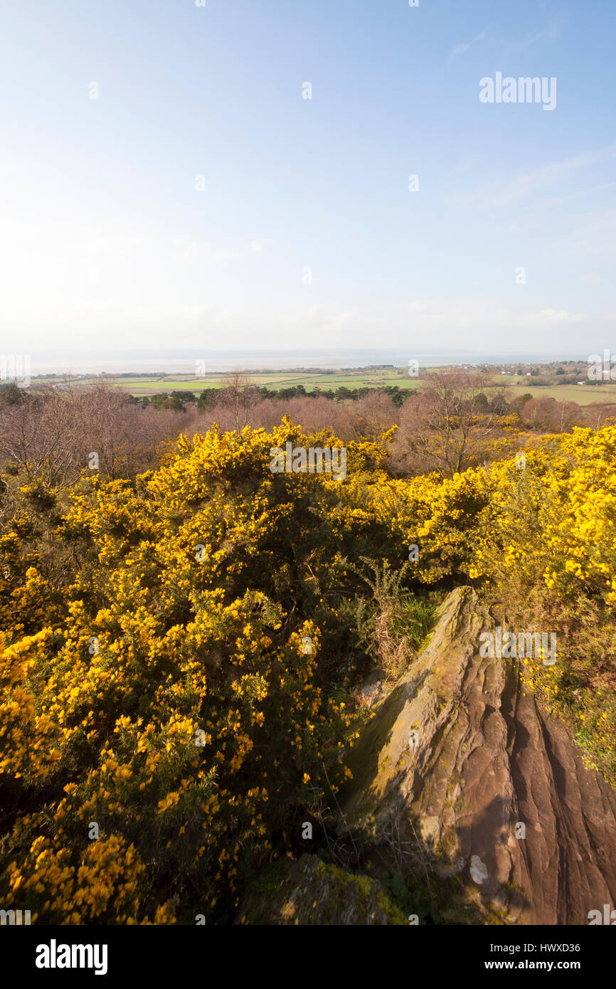 La parte superiore del paese Thurstaston park, Wirral, NW, REGNO UNITO Foto Stock