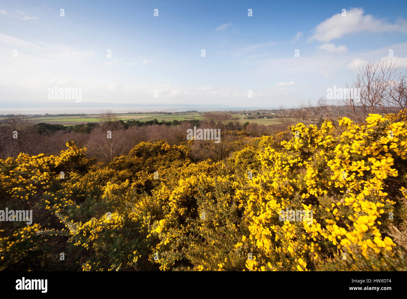 La parte superiore del paese Thurstaston park, Wirral, NW, REGNO UNITO Foto Stock