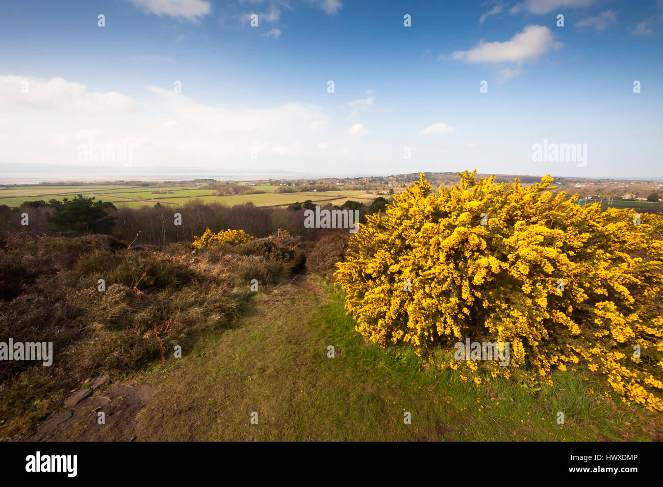 La parte superiore del paese Thurstaston park, Wirral, NW, REGNO UNITO Foto Stock