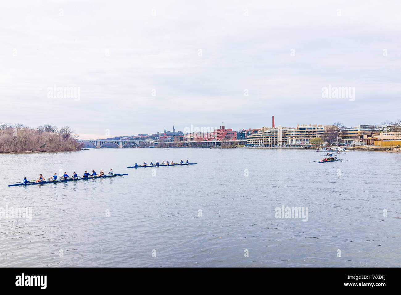 Washington DC, Stati Uniti d'America - 20 Marzo 2017: persone canottaggio sul fiume Potomac su molte barche con skyline di Georgetown Foto Stock