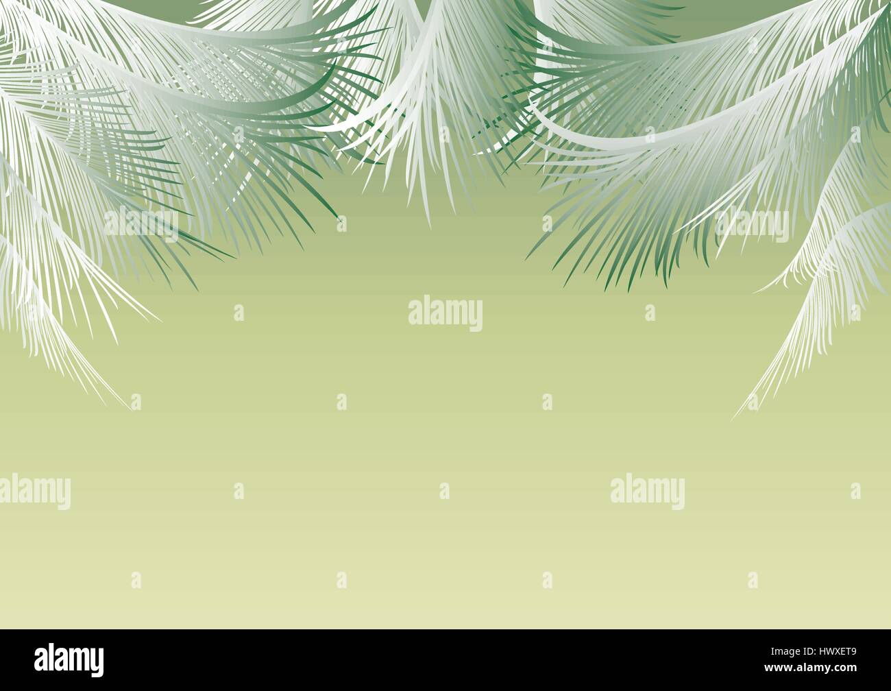 Sfondo verde argenteo con foglie di palma e lo spazio per il testo Illustrazione Vettoriale