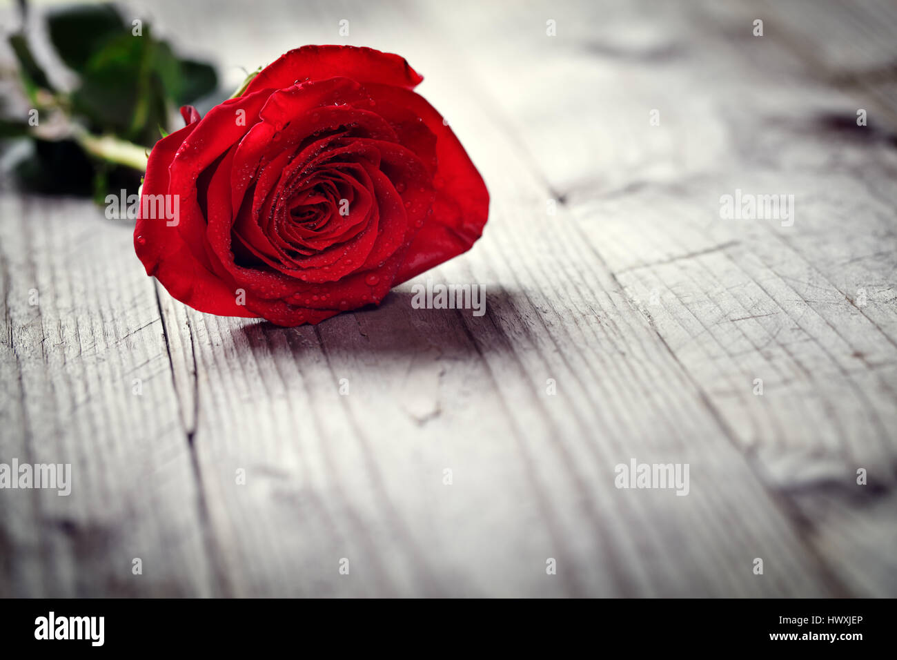 Rose rosse su sfondo di legno concetto per amore, il giorno di San Valentino, il romanticismo, la ringrazio, celebrazione o anniversario Foto Stock