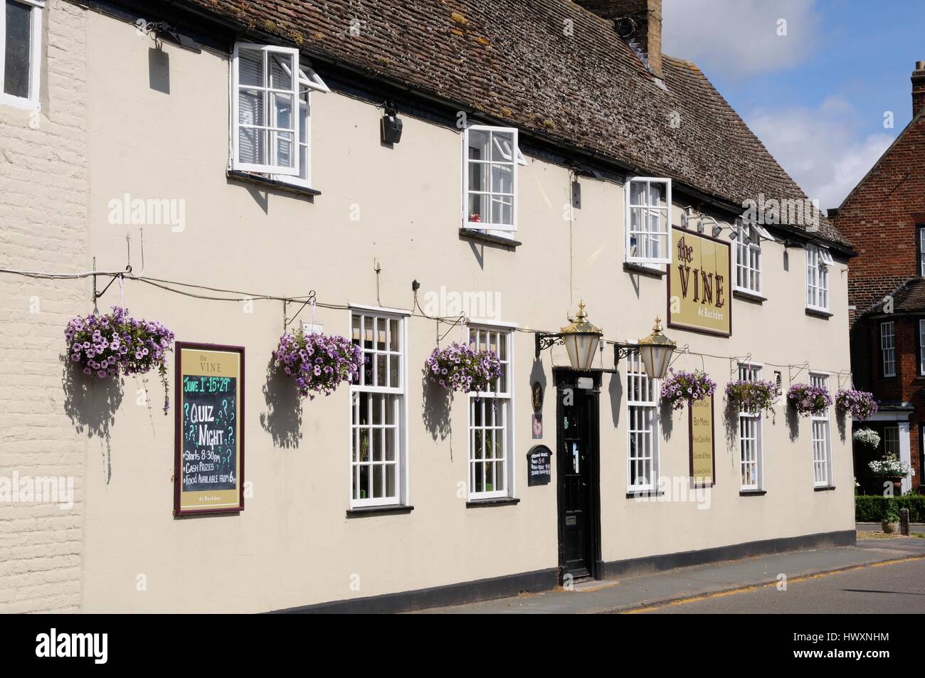 Il vitigno, Buckden, Cambridgeshire, è rimasta solo la pub tradizionale nel villaggio. Una volta aveva la sua propria birreria. Foto Stock