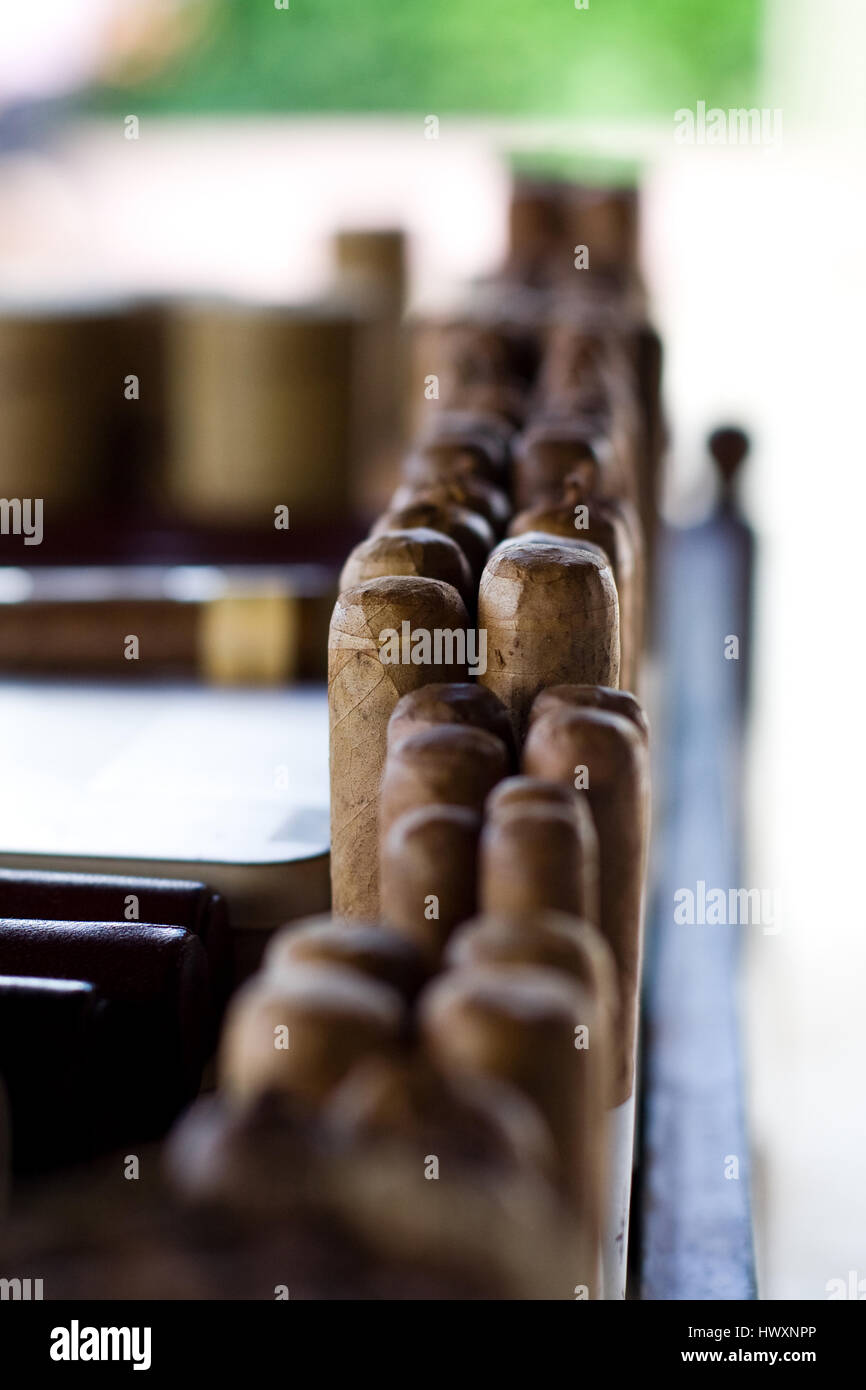 Arrotolate a mano i sigari cubani. Foto Stock