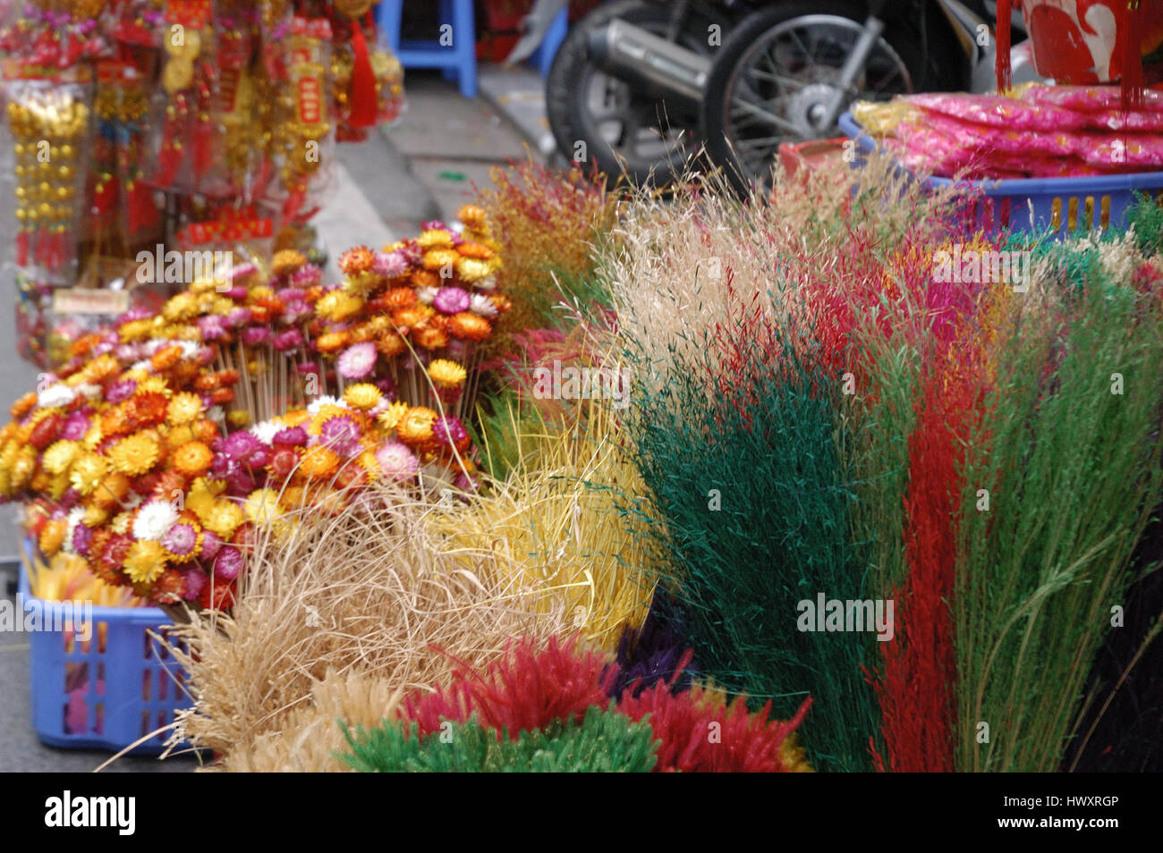 Al momento di fine anno lunare ad Hanoi, Vietnam, sud-est asiatico Foto Stock