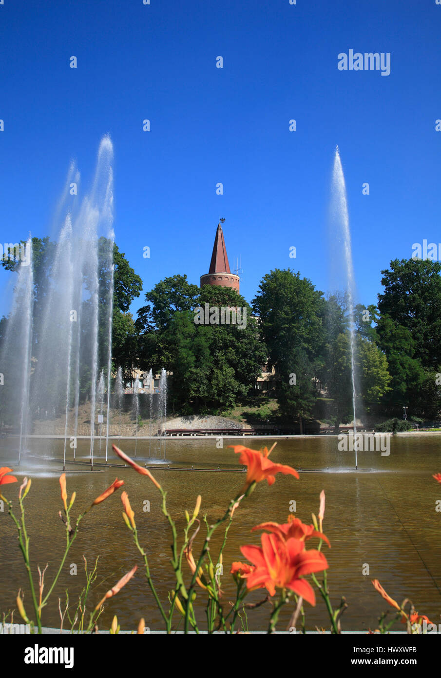 Laghetto del castello, di Opole, Slesia, Polonia, Europa Foto Stock