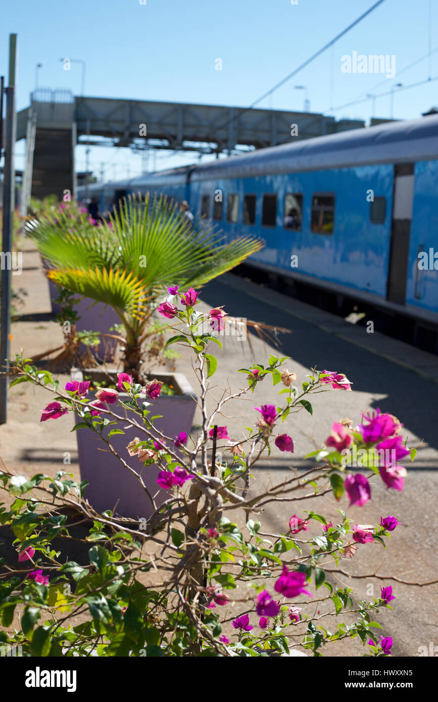 Stazione di Klerksdorp Nord Ovest Sud Africa Foto Stock