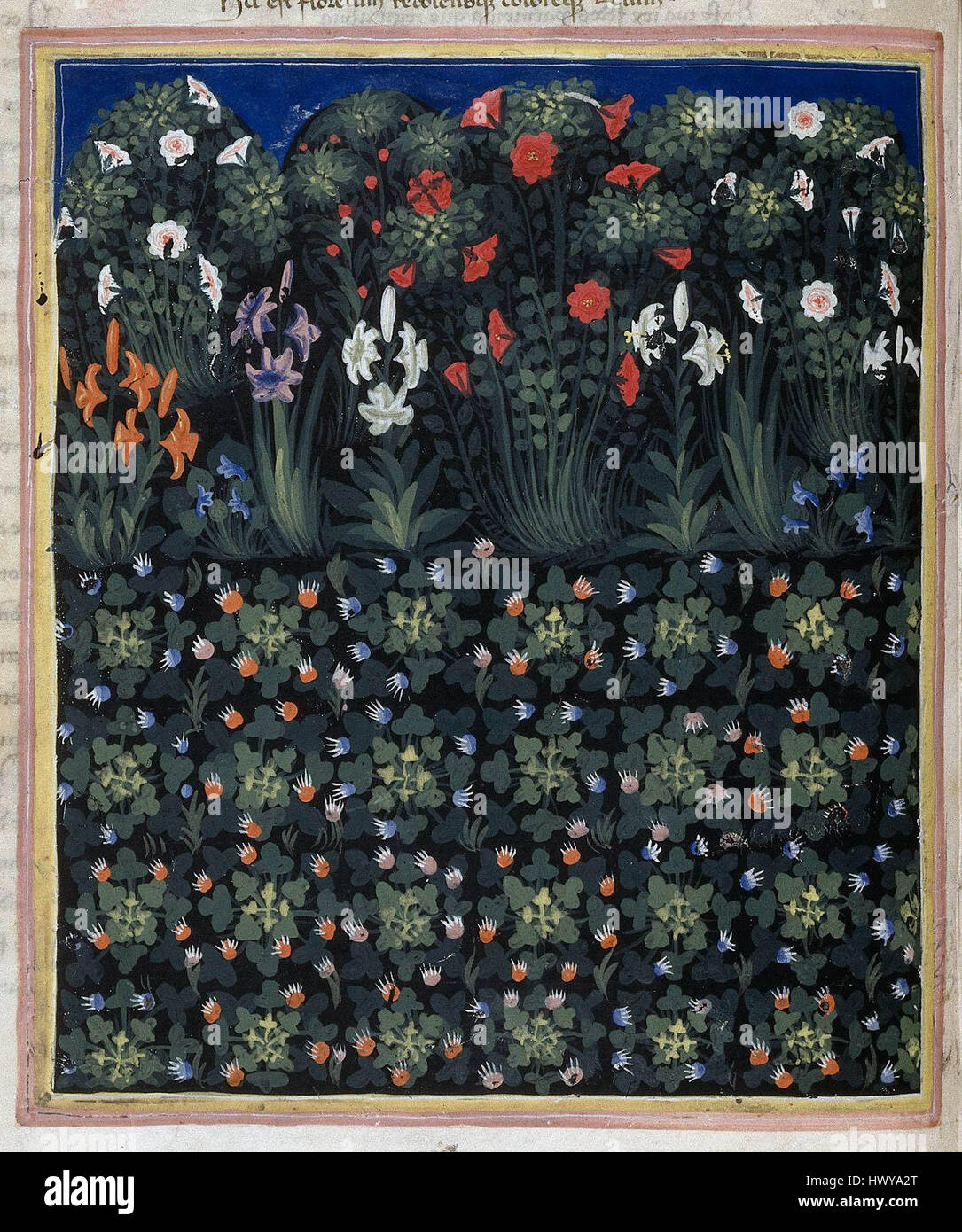 Il "Carmina Regia" è un manoscritto medievale conservato nella British Library. Questa pagina, F15v, include inni reali e composizioni poetiche, che riflettono le pratiche liturgiche e culturali della corte medievale e la sua vita religiosa. Foto Stock