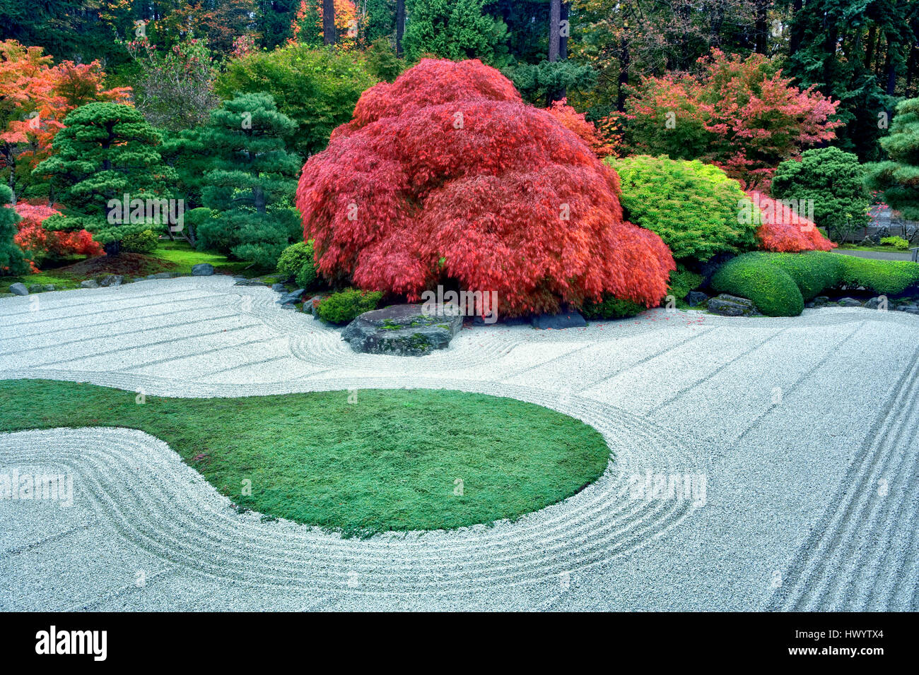 Giardino di roccia con Autunno a colori. Gargens giapponese. Portland. Oregon Foto Stock