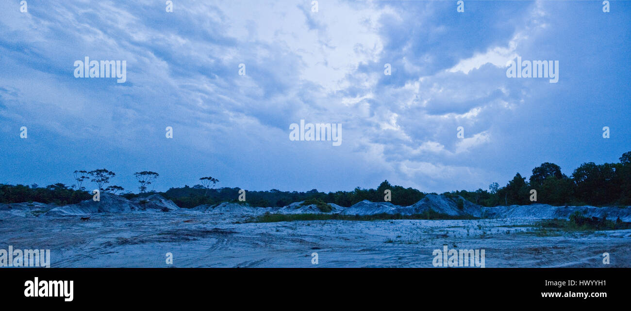 Foresta pluviale e le dune di sabbia in Amazzonia Foto Stock