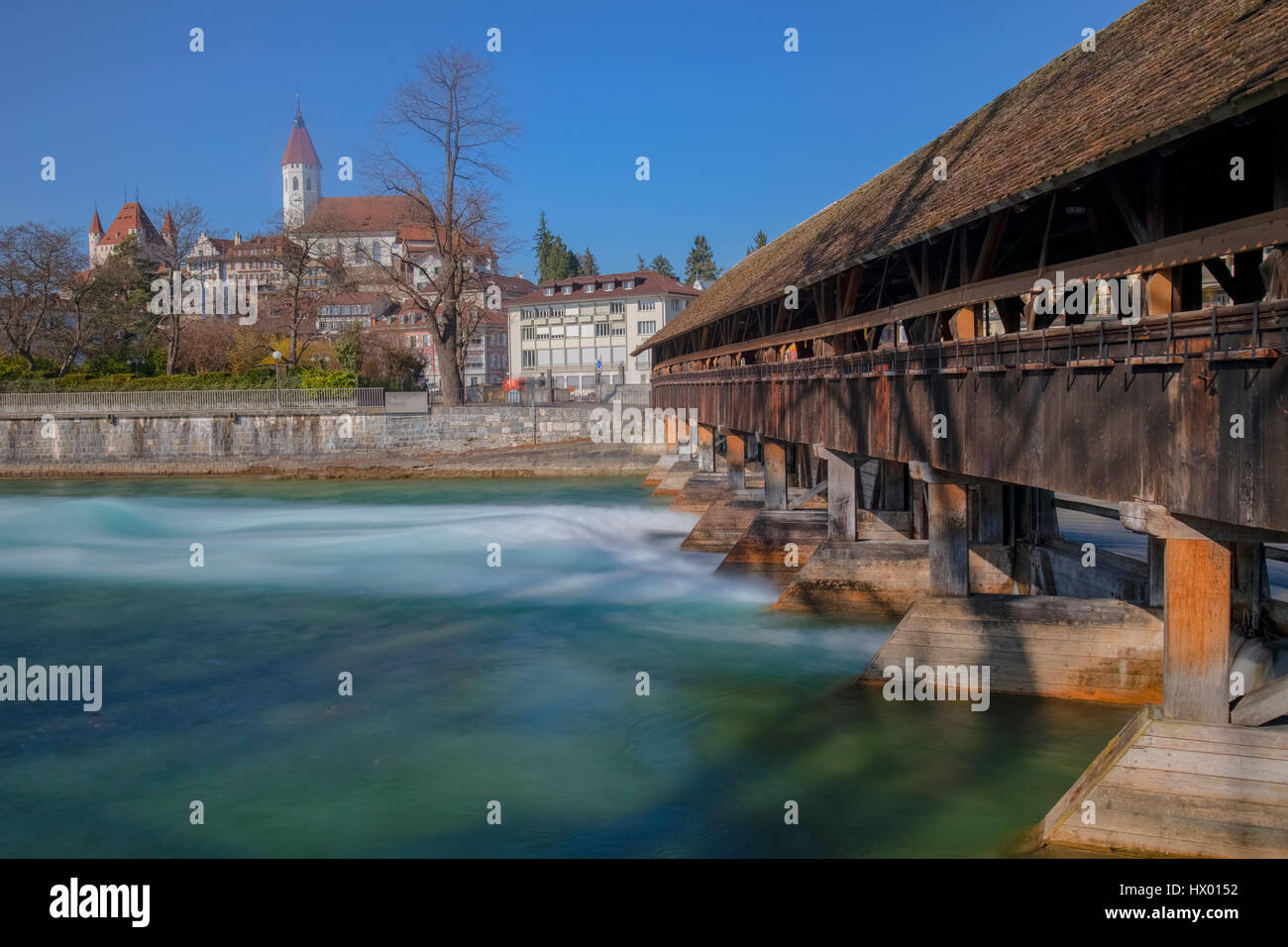 Tomaia chiusa, Thun, Berna, Svizzera Foto Stock