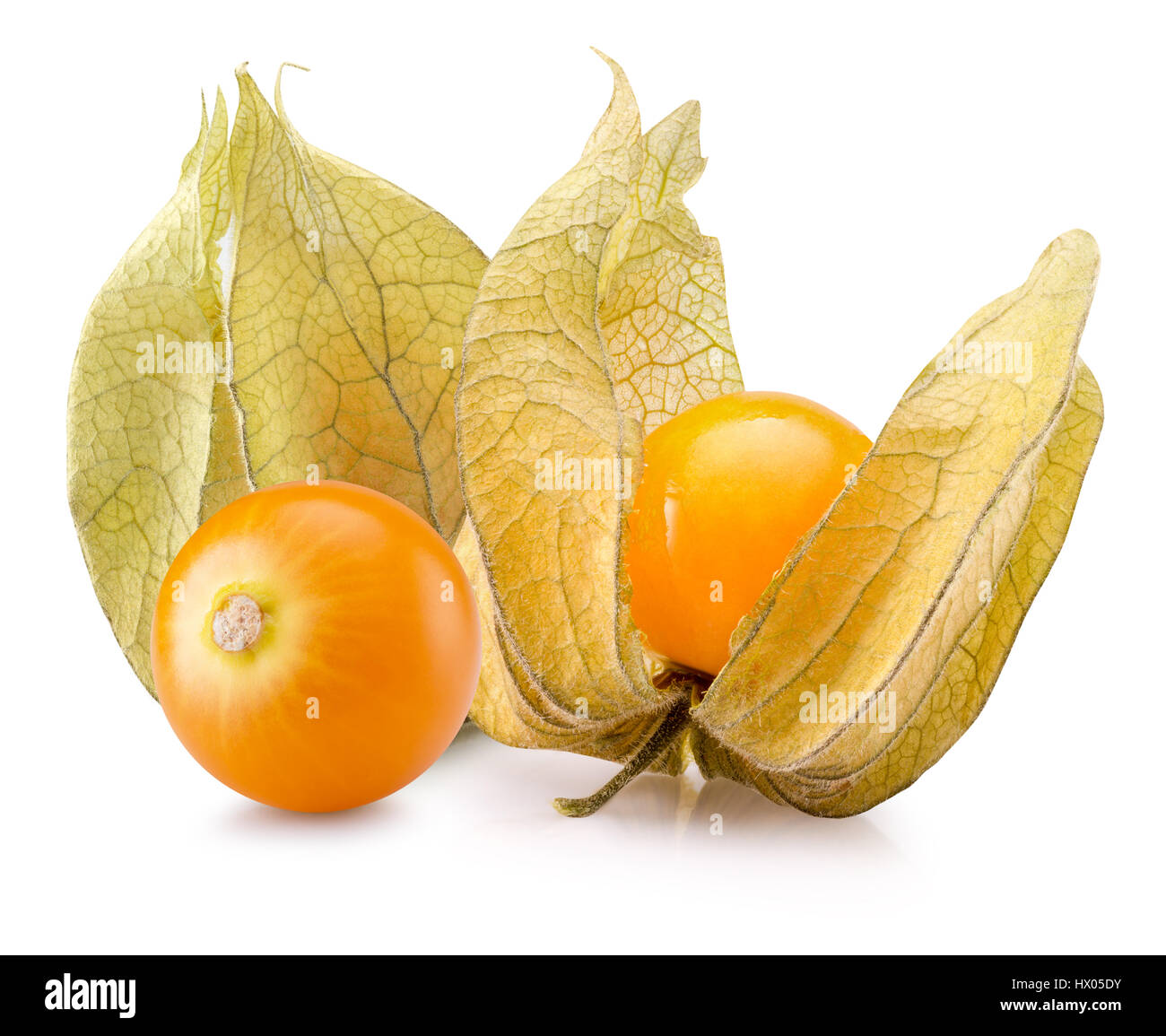 Cape uva spina isolata su uno sfondo bianco. Foto Stock