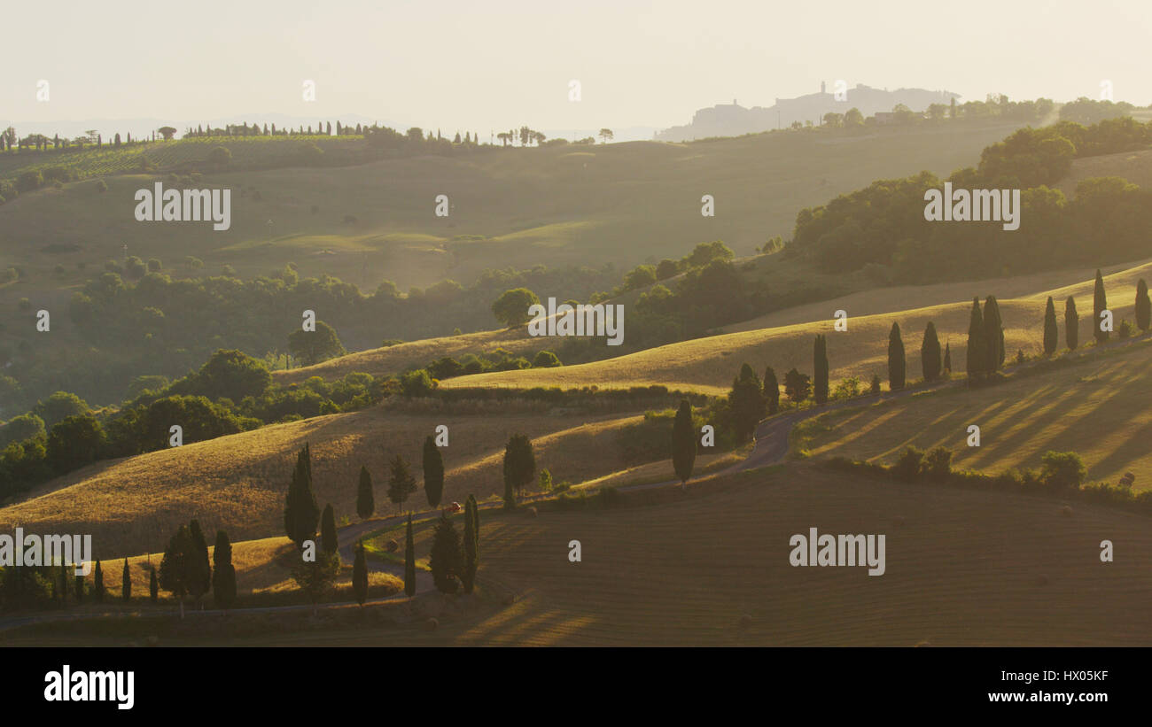 Vista aerea di alberi sulla strada tortuosa in campi di fattoria nel paesaggio rurale Foto Stock Vista aerea di alberi sulla strada tortuosa in campi di fattoria nel paesaggio rurale Foto Stock