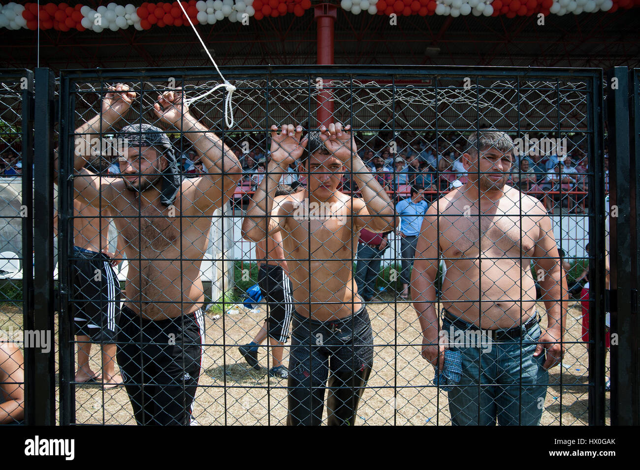 La Turchia, EDIRNE: storico 'olio Kirkpinar Wrestling' è il più antico del mondo degli eventi sportivi dopo le Olimpiadi, che proseguono dal FIRS Foto Stock