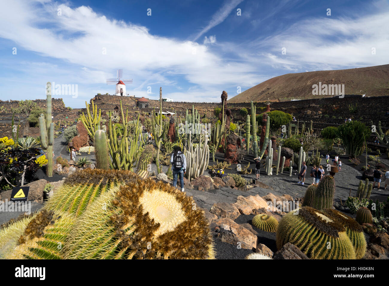 Jardín de Cactus, una perfetta combinazione di arte dei giardini e architettura, è uno dei progetti più recenti di Cesar Manrique a Lanzarote Foto Stock