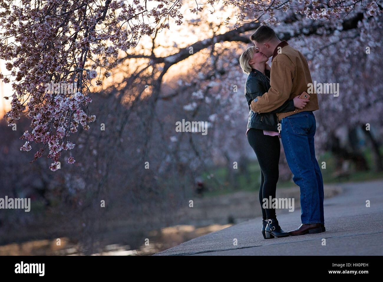 Un paio di baci sotto il fiore di ciliegio alberi che la linea del bacino di marea sul National Mall di Washington, D.C. Marzo 22, 2017. Foto Stock