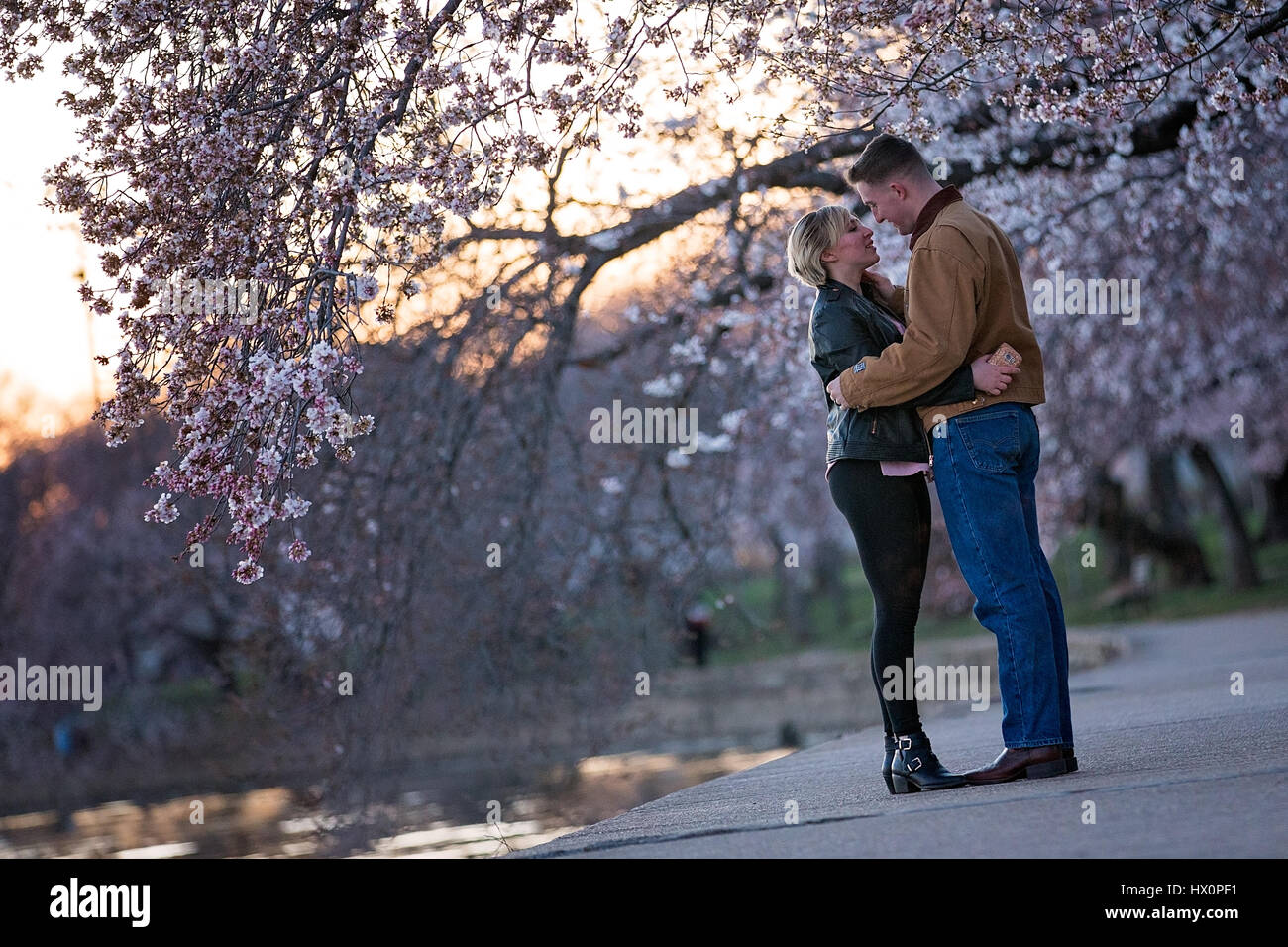 Un giovane abbraccia sotto il fiore di ciliegio alberi che la linea del bacino di marea sul National Mall di Washington, D.C. Marzo 22, 2017. Foto Stock