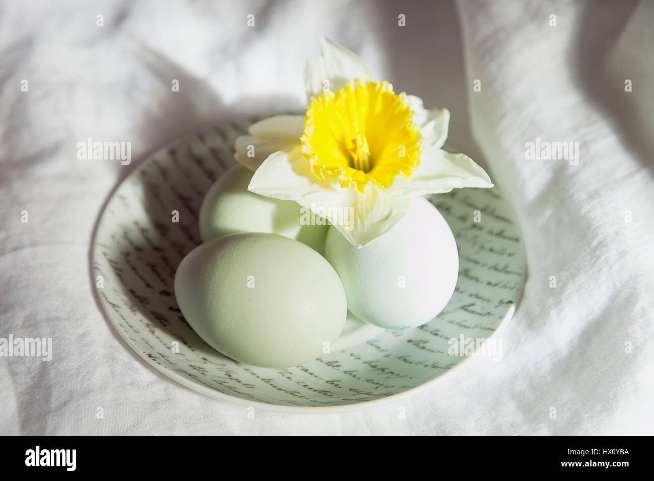 Sagre, religiosi, Pasqua, Studio shot di uova sul piattino in ceramica con giallo daffodil. Foto Stock