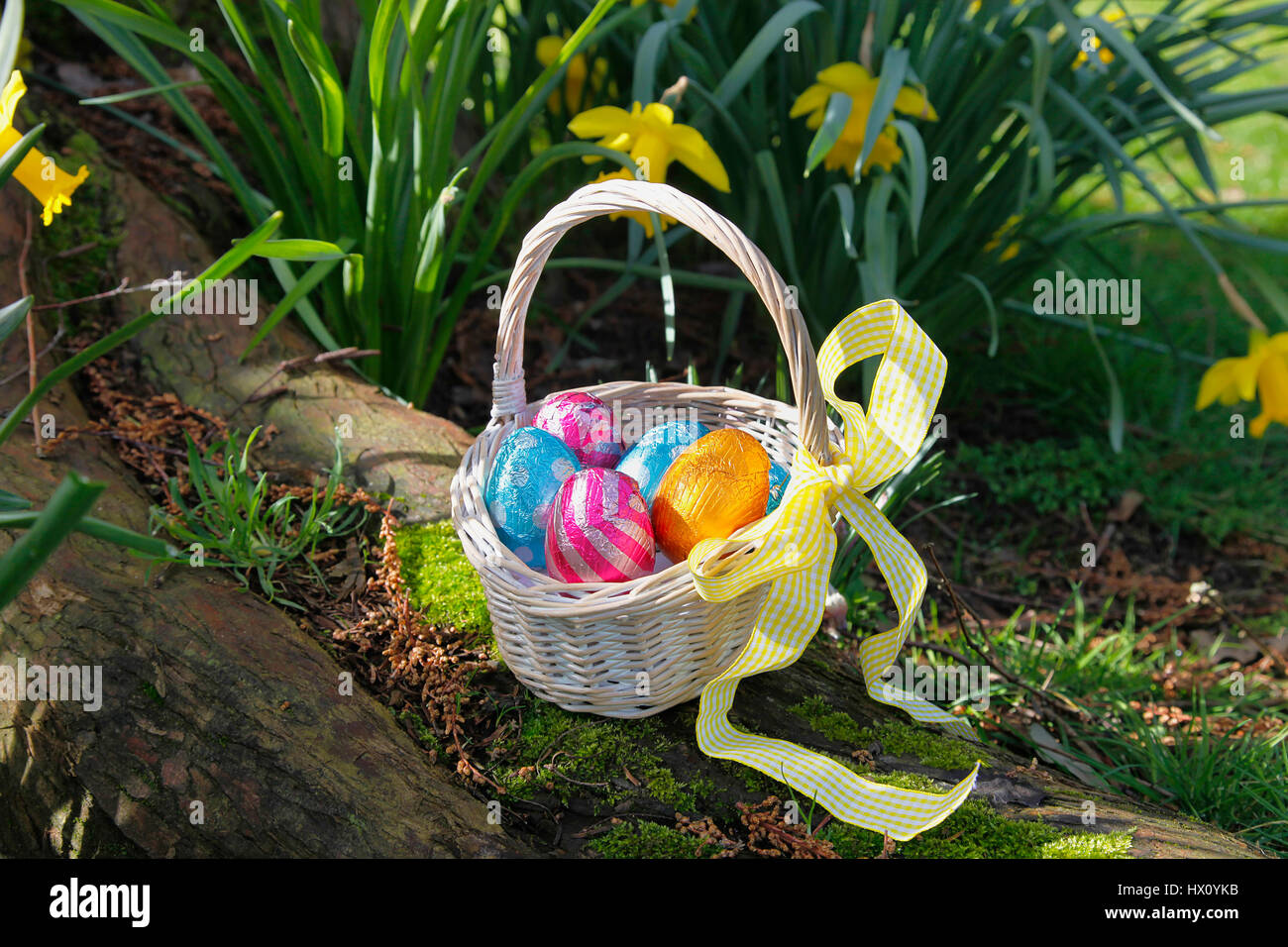 Sagre, religiosi, Pasqua caccia all'uovo, cestino di uova di cioccolato nascosto nel giardino tra i narcisi. Foto Stock