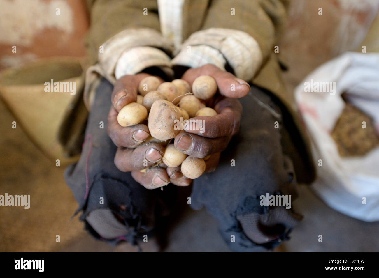 Madagascar, patate in mano di un vecchio contadino Foto Stock