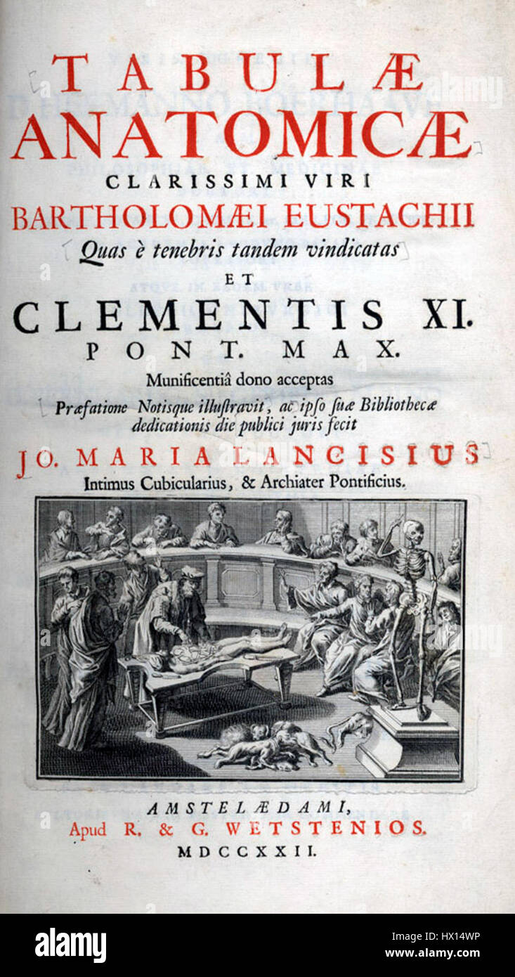 Eustachi Tabulae Anatomicae si riferisce a una serie di illustrazioni anatomiche dell'anatomista e medico italiano Girolamo Eustachi, che mostrano l'anatomia umana nel XVI secolo. Queste illustrazioni hanno svolto un ruolo significativo nello sviluppo di studi medici e anatomici. Foto Stock