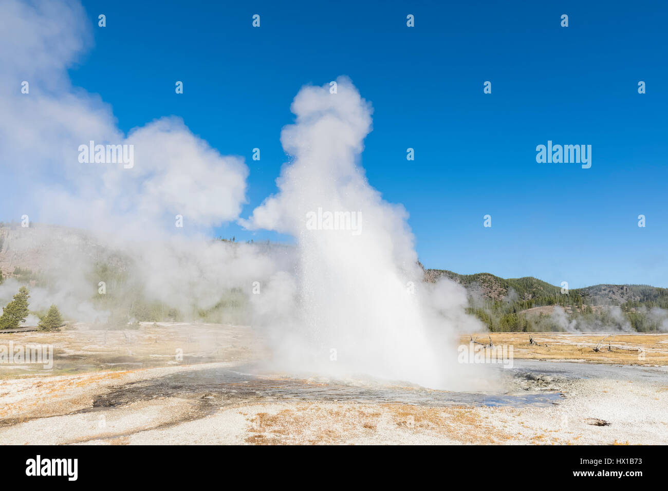 Stati Uniti d'America, il Parco Nazionale di Yellowstone, Bacino di biscotto, gioiello Geysir in eruzione Foto Stock