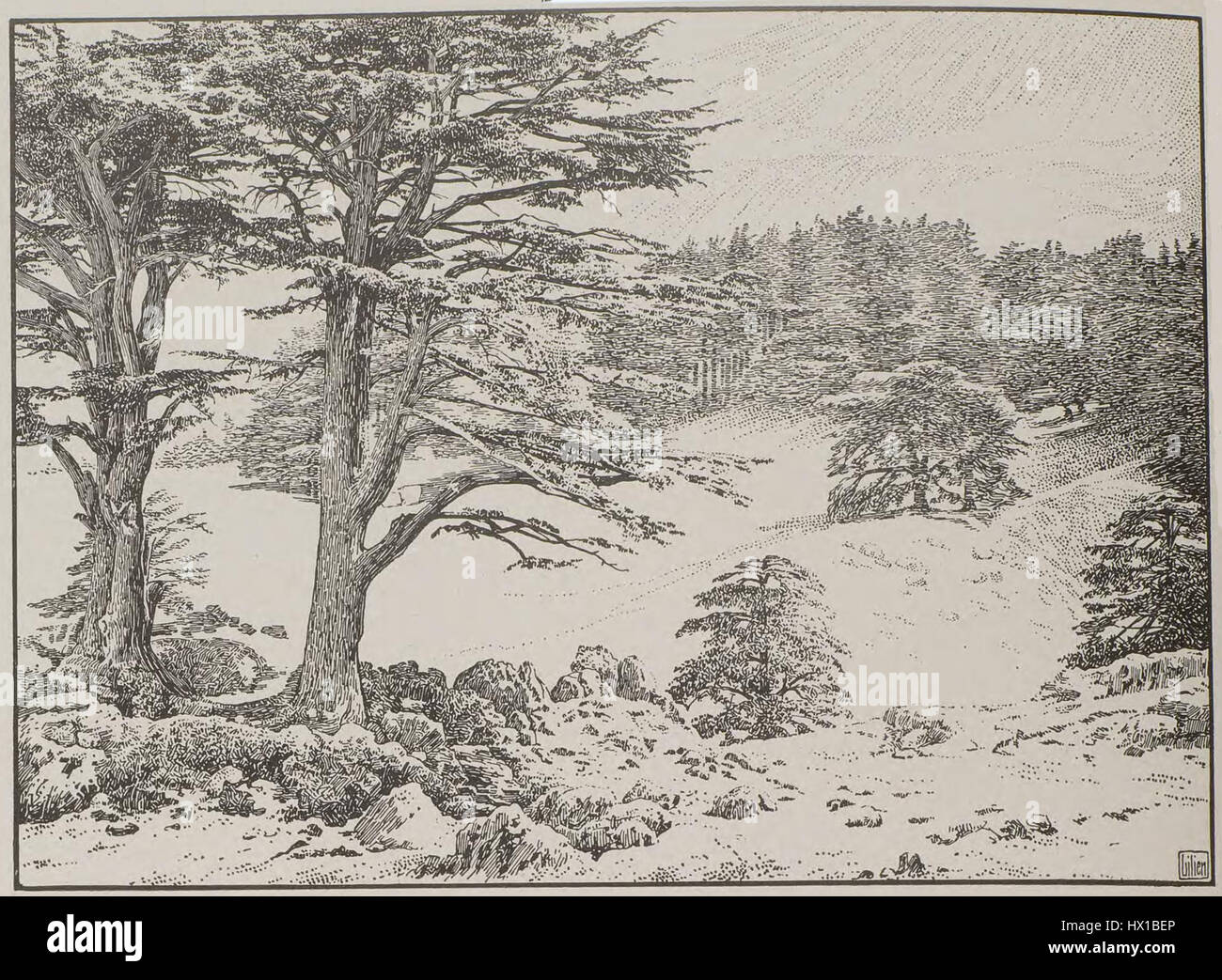 «Die Zedern des Libanon» si riferisce ai famosi cedri libanesi, simbolo iconico del patrimonio naturale libanese. L'immagine o l'opera d'arte probabilmente mette in risalto gli alberi maestosi e antichi, profondamente radicati nell'identità culturale, religiosa e storica del paese. Foto Stock