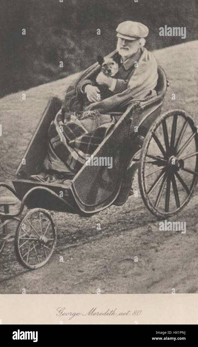 George Meredith è stato un noto romanziere e poeta inglese, noto per le sue opere che esplorano la psicologia umana, le relazioni e le questioni sociali. All'età di 80 anni, Meredith si era affermata come figura chiave nella letteratura vittoriana, contribuendo in modo significativo sia alla poesia che al romanzo. Foto Stock