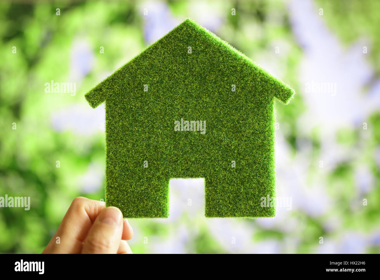 Eco-Green House sfondo ambientale per il futuro edificio residenziale plot Foto Stock