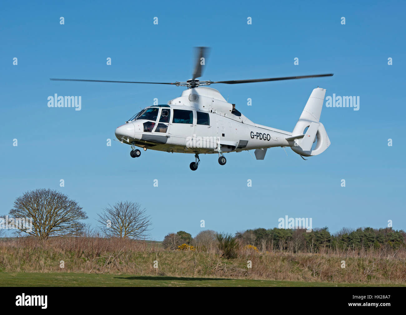 Eurocopter AS-365N-2 Dauphin basato a PDG elicotteri Inverness Dalcross Aeroporto. Regione delle Highlands. La Scozia. Foto Stock