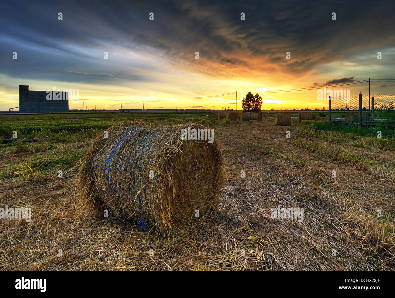 Splendido tramonto al Sekinchan Pield Field Foto Stock
