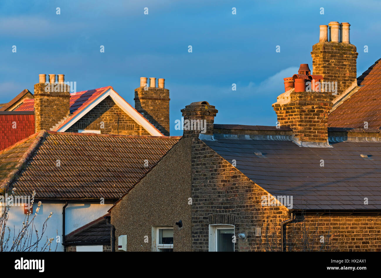 Tetti e camini. Luce della Sera. Croydon South London REGNO UNITO Foto Stock