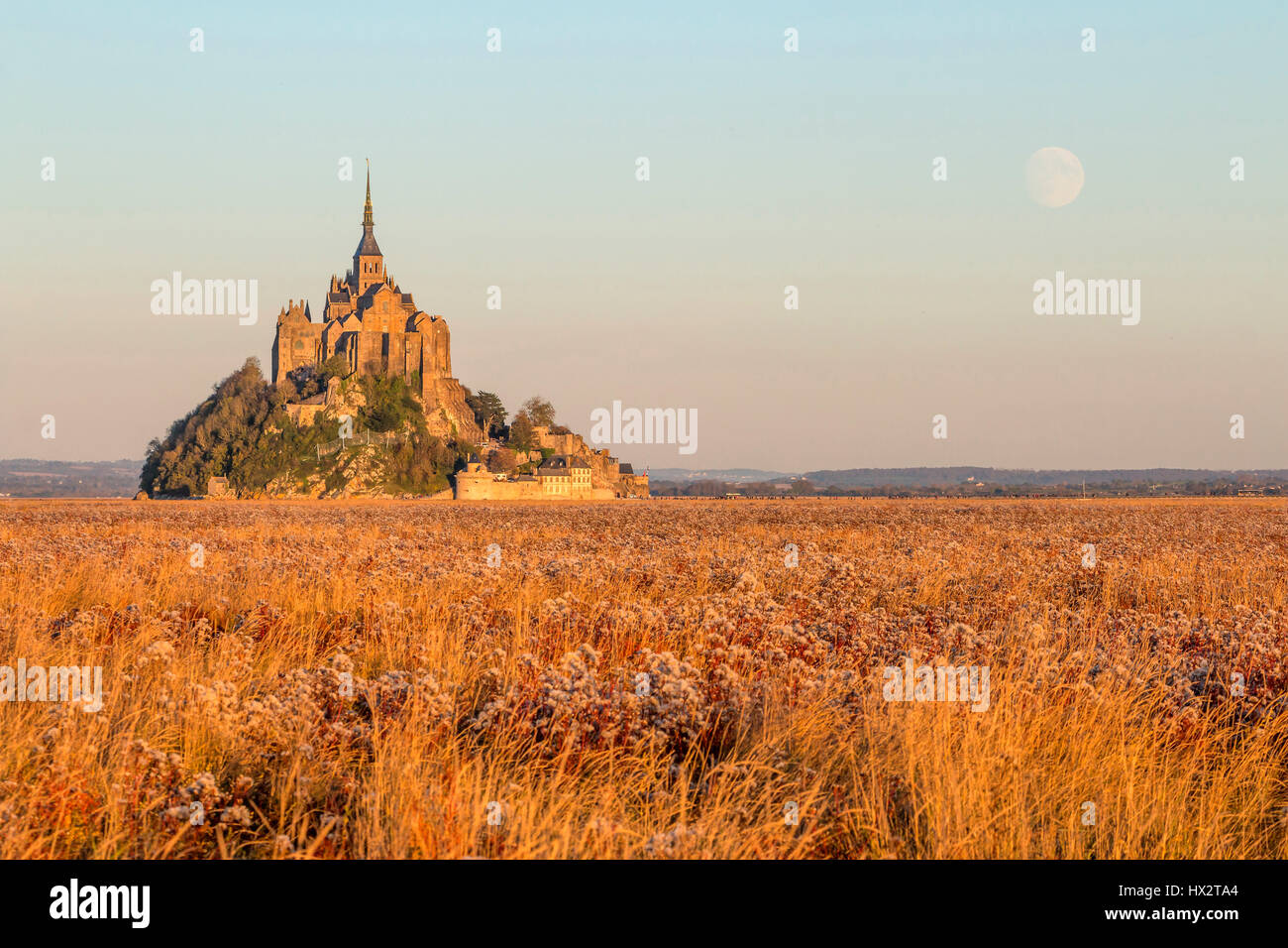 Mont Saint Michel (Saint Michael Mount), Normandia, a nord-ovest della Francia: il monte visto dal Salt Marshes in autunno Foto Stock