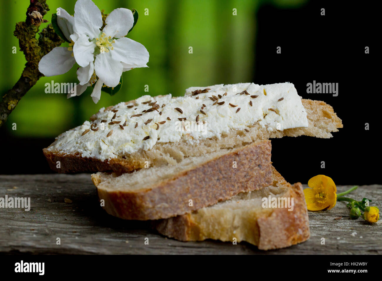 Fattoria di formaggio fresco Foto Stock