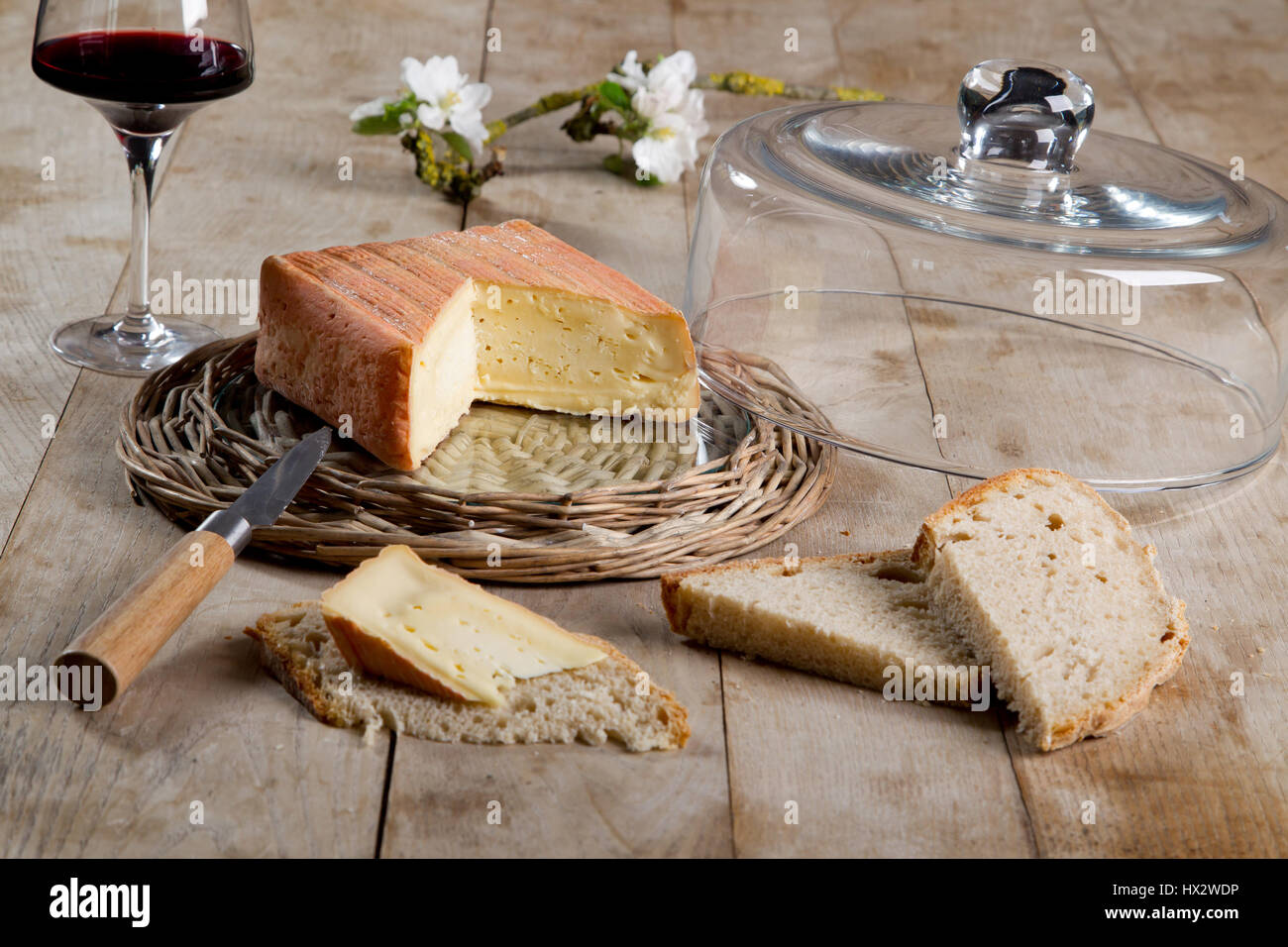 Formaggio Formaggio Maroilles Foto Stock