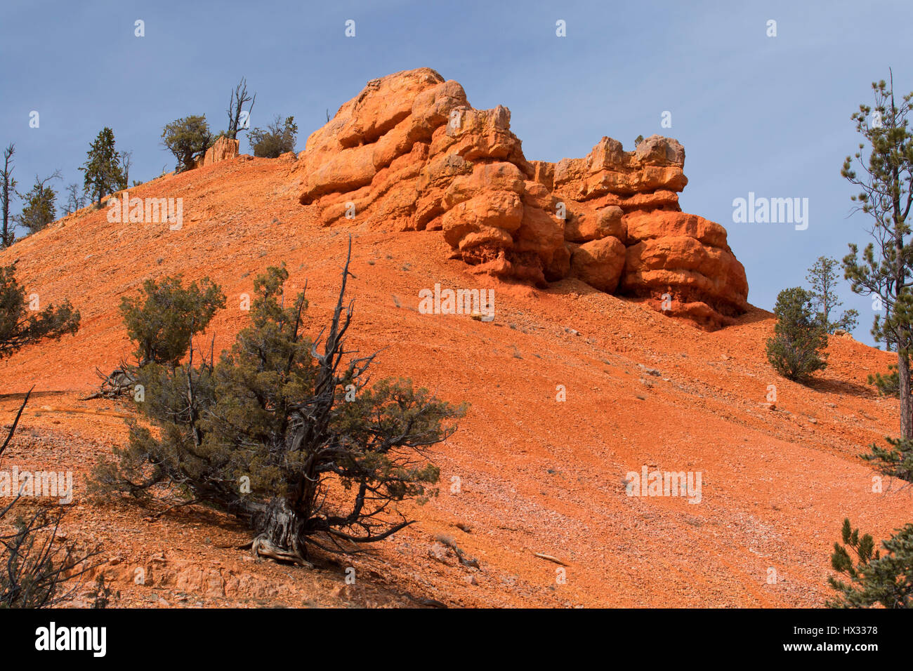 Butch Cassidy disegnare in rosso Canyon, Dixie National Forest, Highway 12 Scenic Byway, Utah Foto Stock