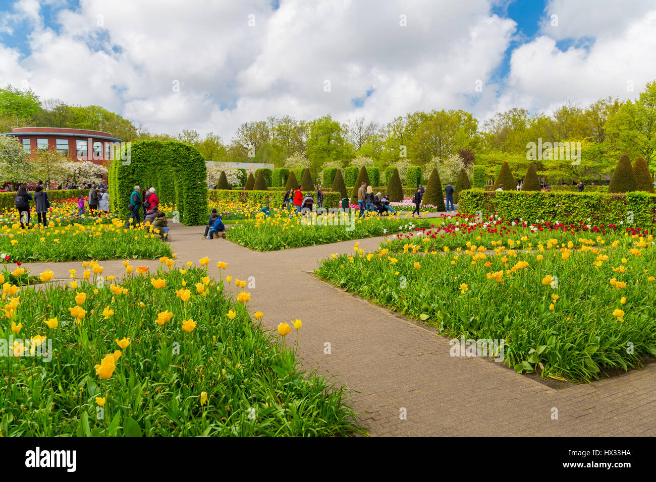 Tulipani colorati nel giardino Keukenhof, Olanda Foto Stock