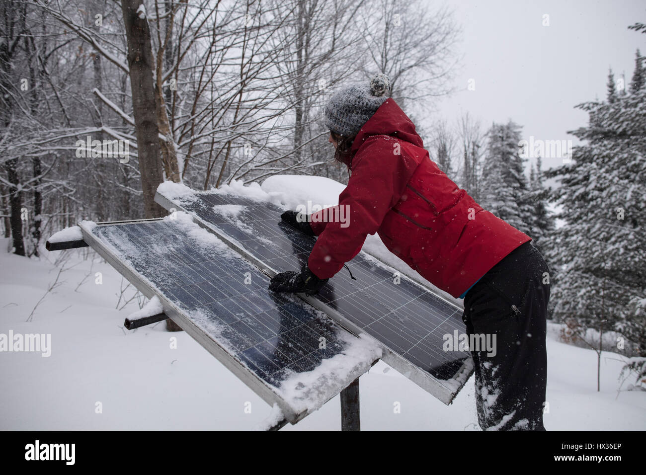 Una signora in una giacca rossa cancella la neve fuori i pannelli solari dopo una tempesta di neve in Hastings Highlands, Ontario, Canada. Foto Stock