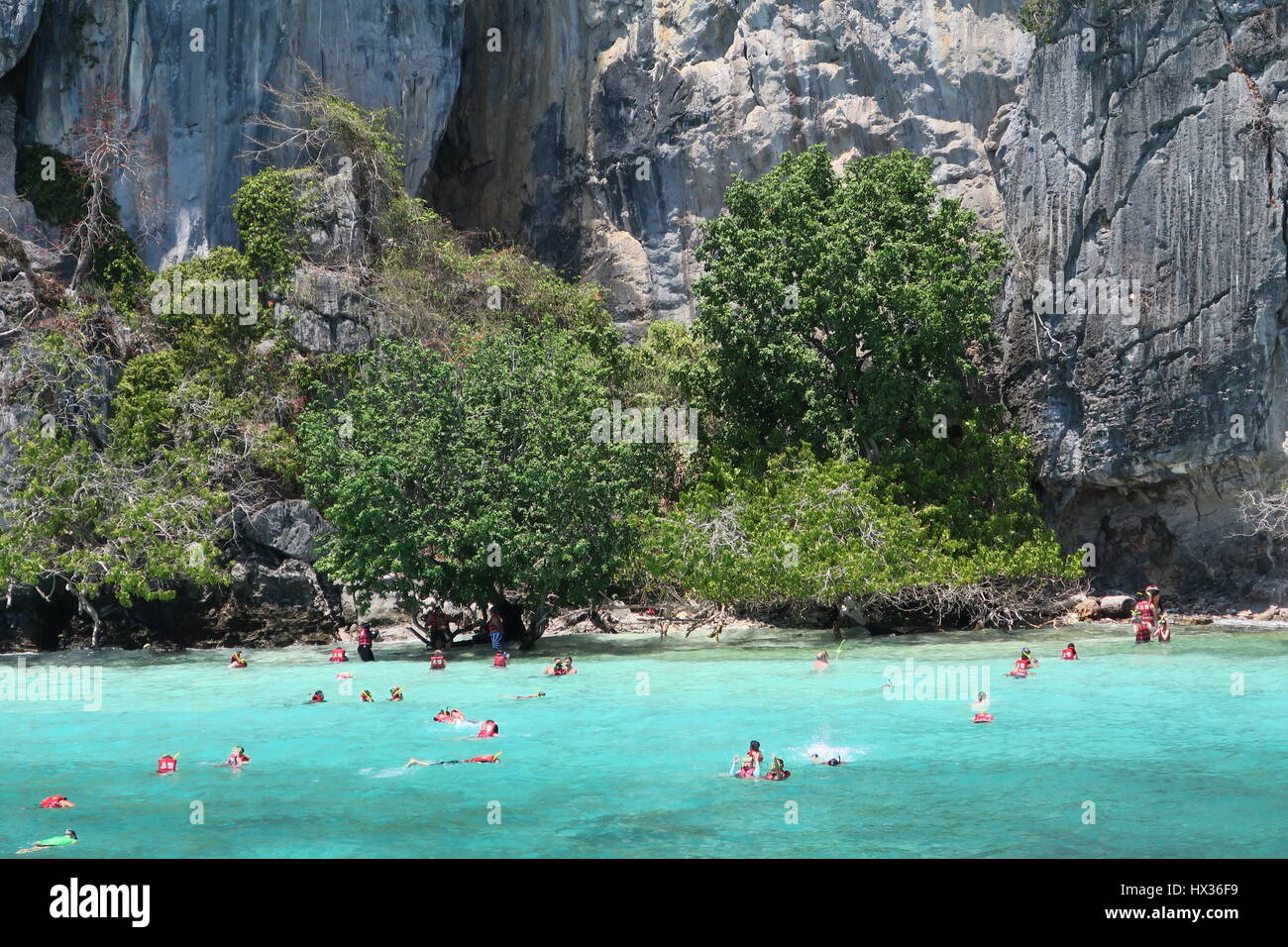 Un sacco di turisti che si godono di nuotare con giubbotti di salvataggio e maschere di nuotare in un mare cristallino sul modo di Isola di Phi Phi in Thailandia. Foto Stock