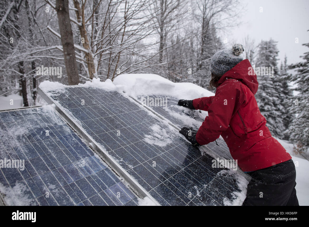 Una signora in una giacca rossa cancella la neve fuori i pannelli solari dopo una tempesta di neve in Hastings Highlands, Ontario, Canada. Foto Stock