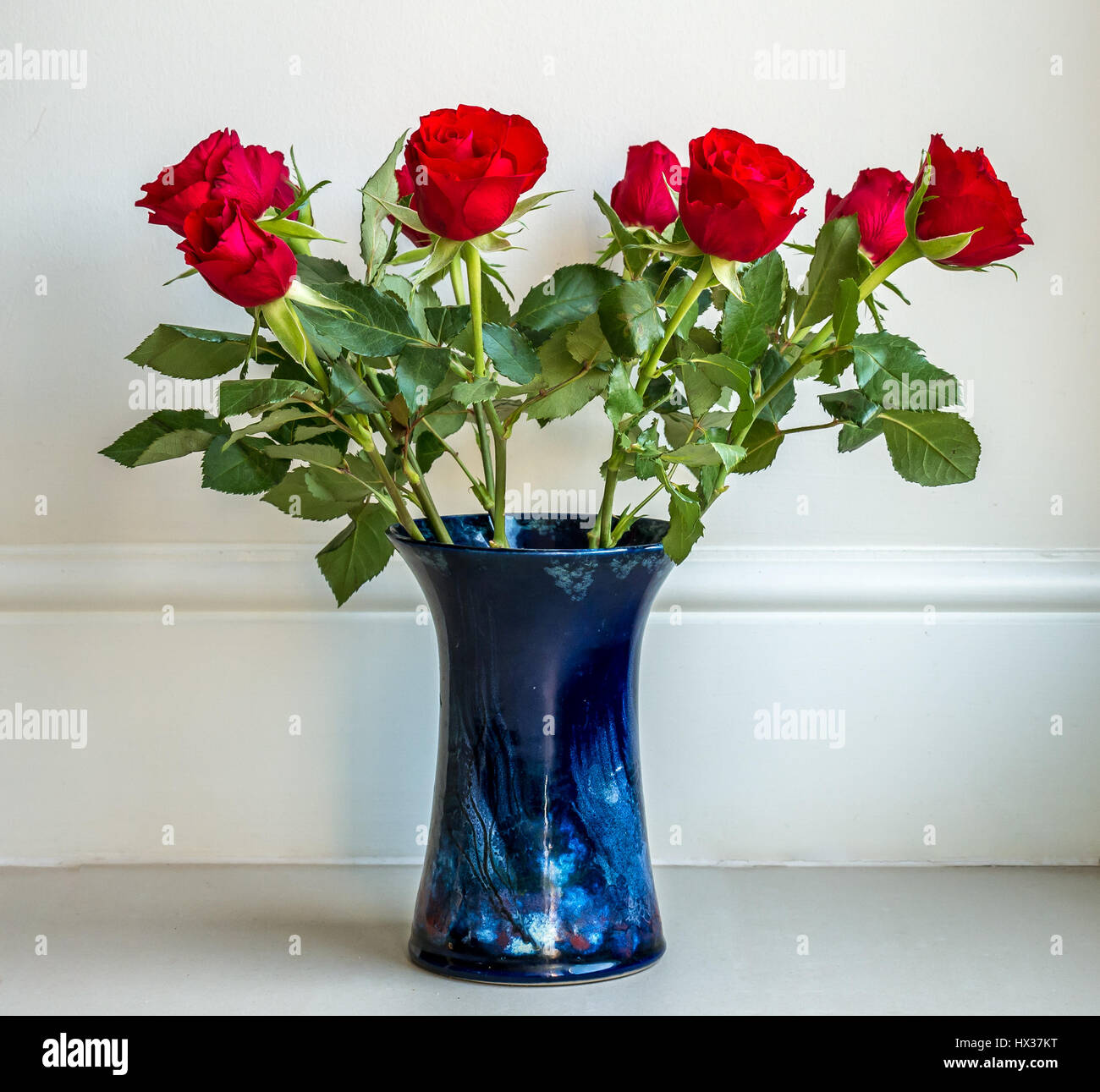 Disposizione semplice di deep Red Rose in blu vaso in ceramica contro la pianura neutro sfondo color crema Foto Stock