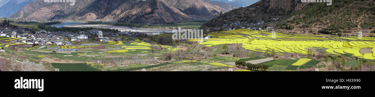 Vista aerea di semi di ravizzone o colza di fiori intorno a ShiGu villaggio nei pressi di Lijiang . ShiGu è in Yunnan, Cina, e faceva parte del sud Silk Road o ChaMa GuDao Foto Stock