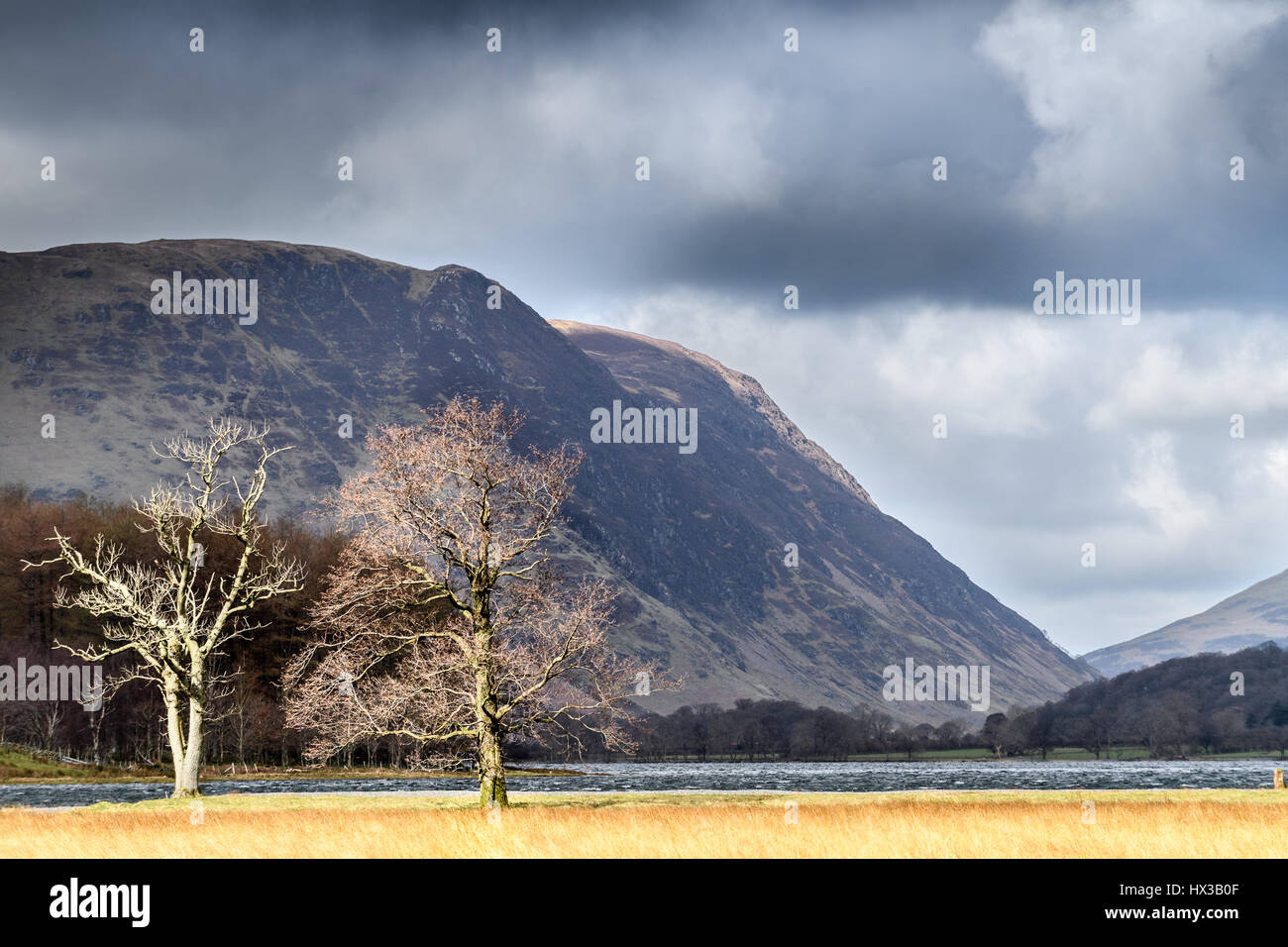 Vista da sud-est a riva del lago Buttermere, Lake District, Cumbria, Inghilterra. Foto Stock