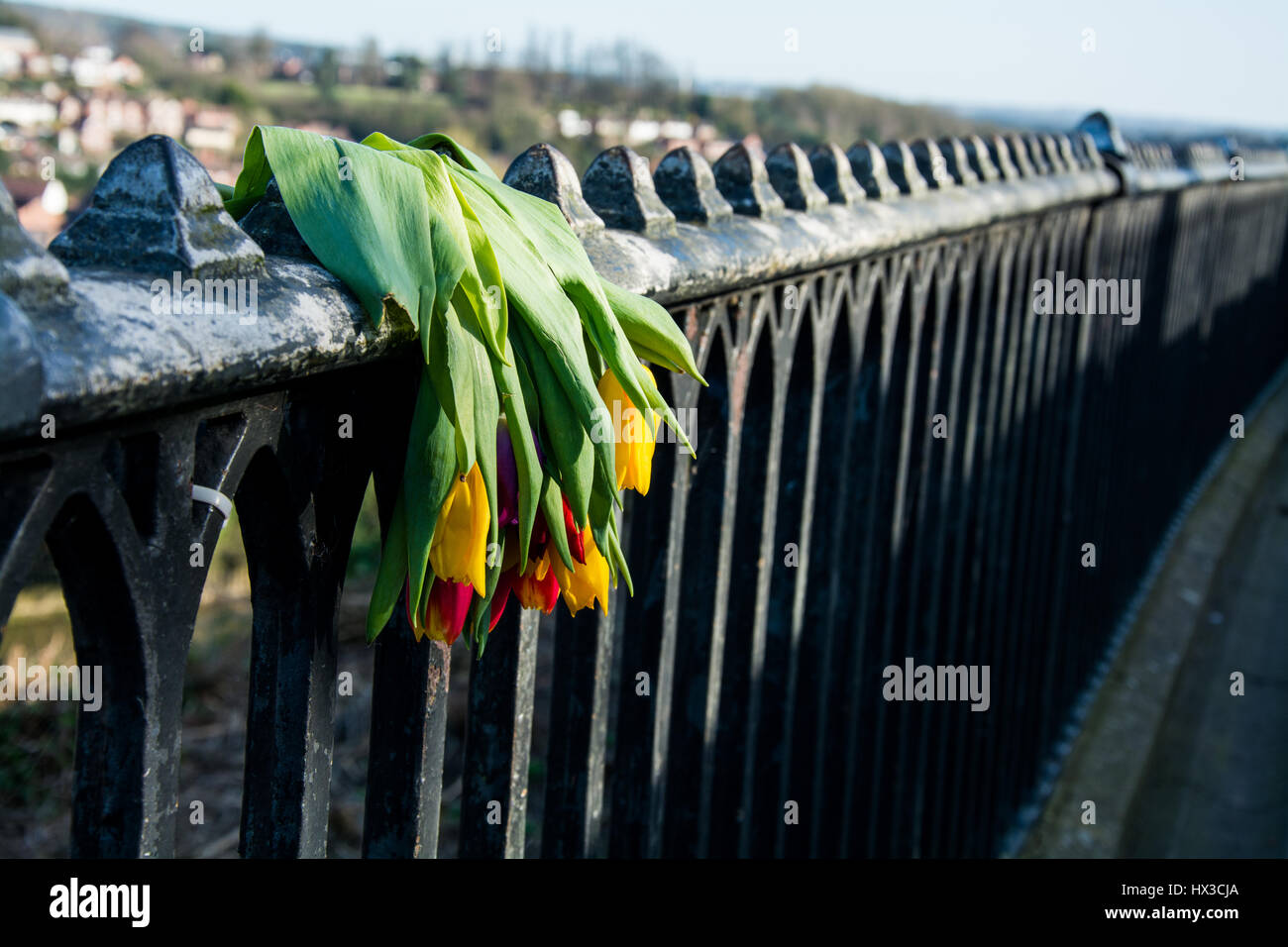 Mazzetto di rosso e tulipani gialli spioventi su una ringhiera. Il simbolo di tristezza e dolore e perdita. Foto Stock